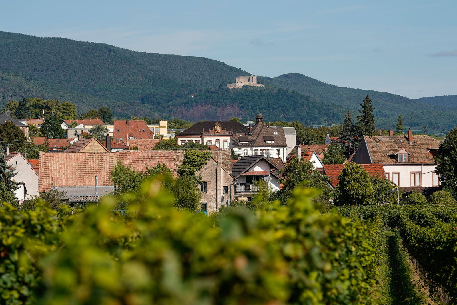Das Hambacher Schloss über Neustadt an der Weinstraße wurde im Mittelalter als Burg erbaut und in der Neuzeit schlossartig ausgestaltet. (Archivbild)