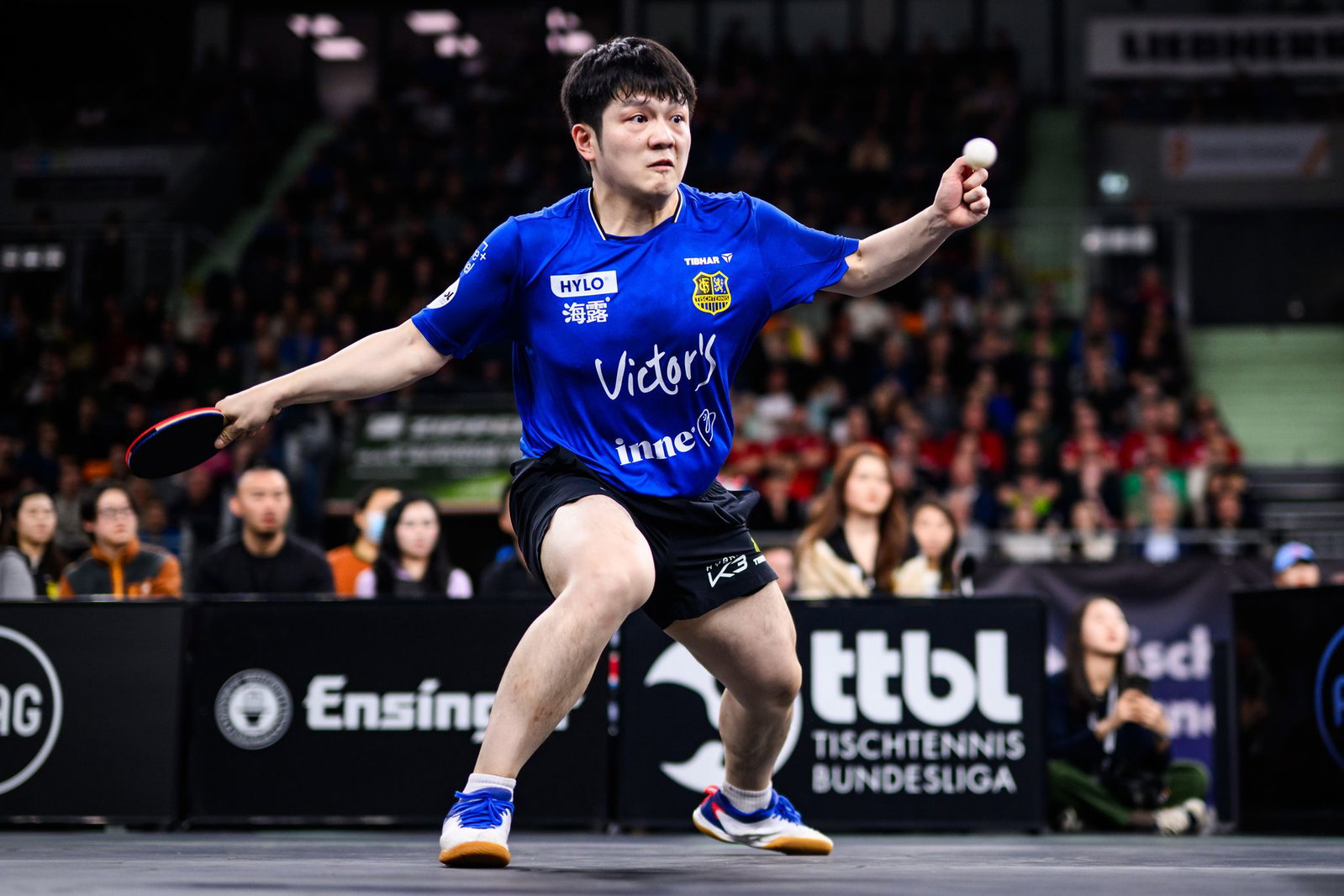 Der Superstar der Bundesliga: Fan Zhendong vom 1. FC Saarbrücken.