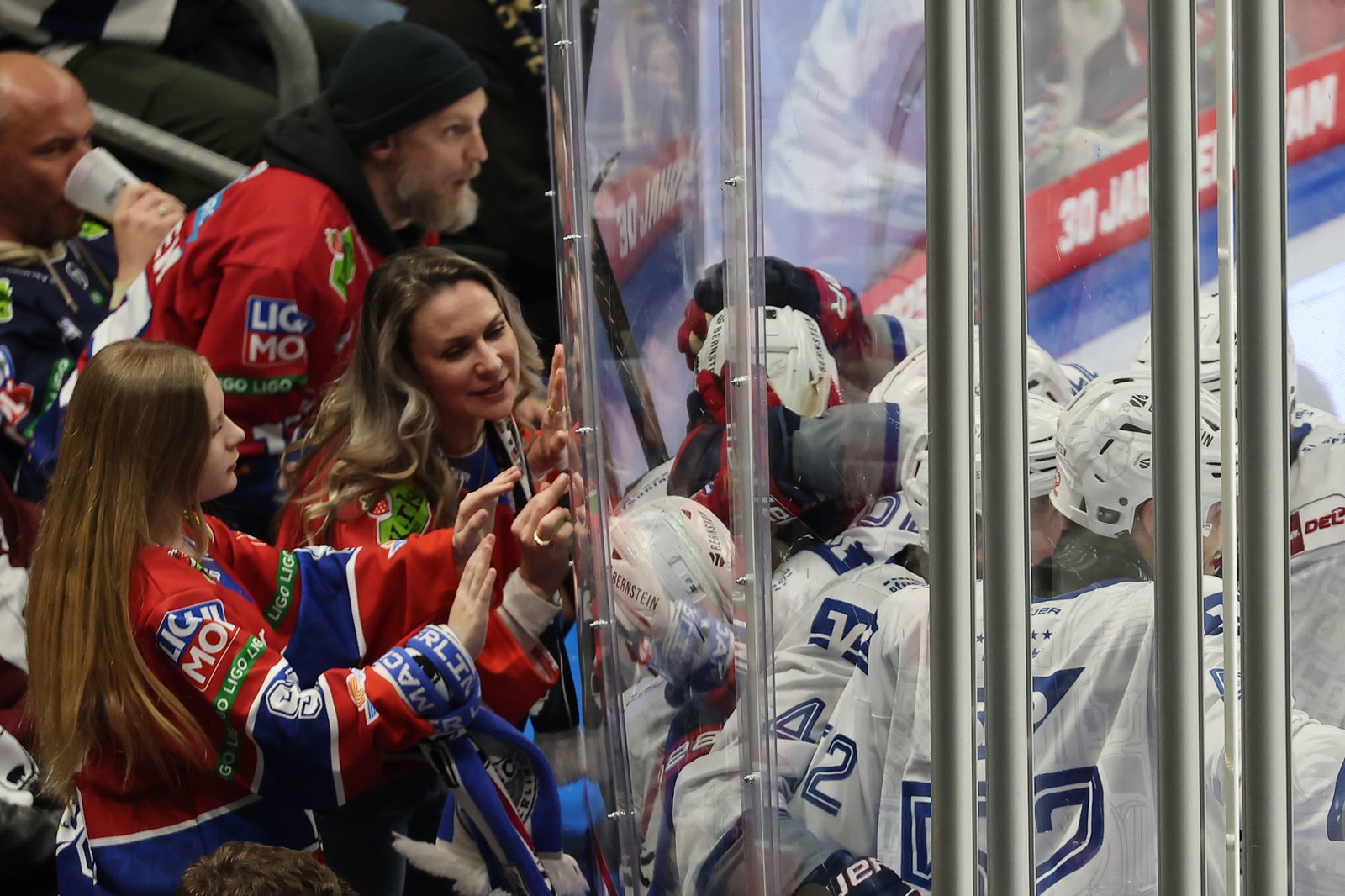 Glauben an die Wende: Die Adler Mannheim.