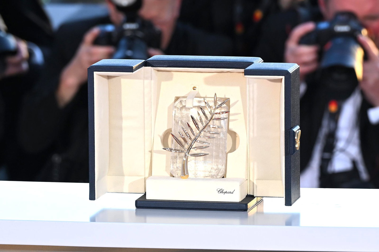 Der Hauptpreis des Filmfests in Cannes: Die Goldene Palme. (Archivbild)