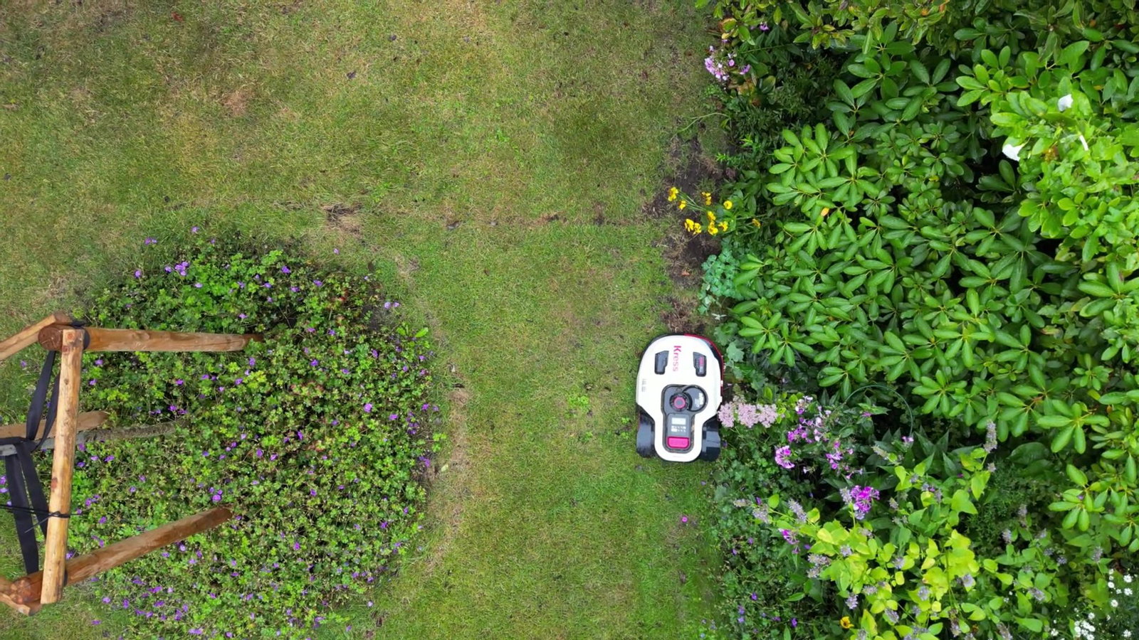Mähroboter können Kleintieren nachts großen Schaden zufügen. (Archivbild)