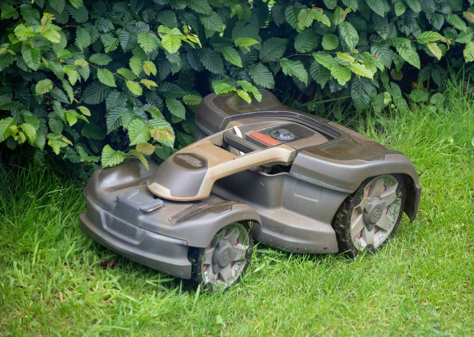In Deutschland gibt es noch kein generelles Nachtfahrverbot für Mähroboter. (Archivbild) 