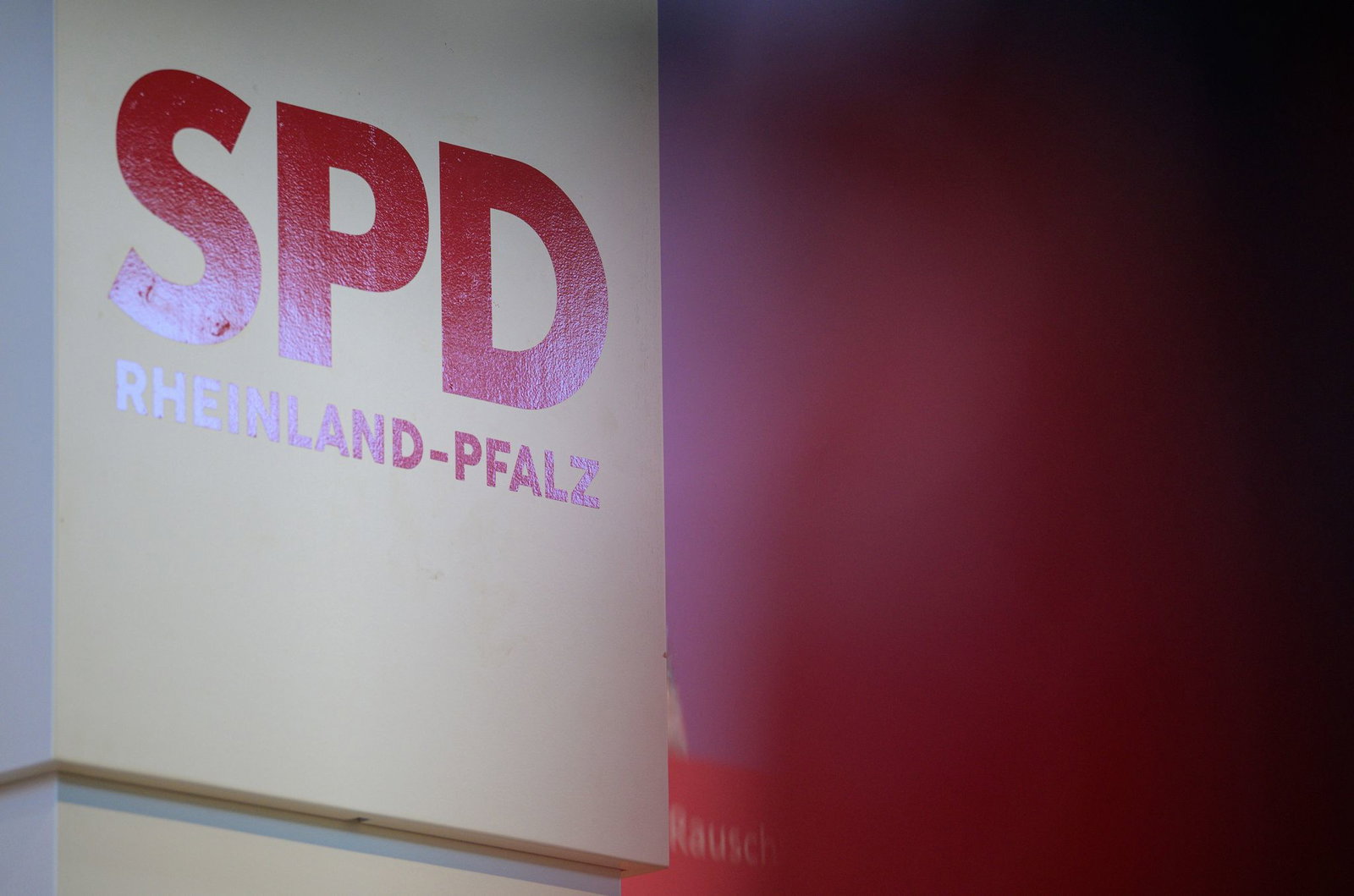 Die SPD Landtagsfraktion in Rheinland-Pfalz hat nach ihrem Vorsitzenden noch andere Positionen besetzt. (Archivbild)