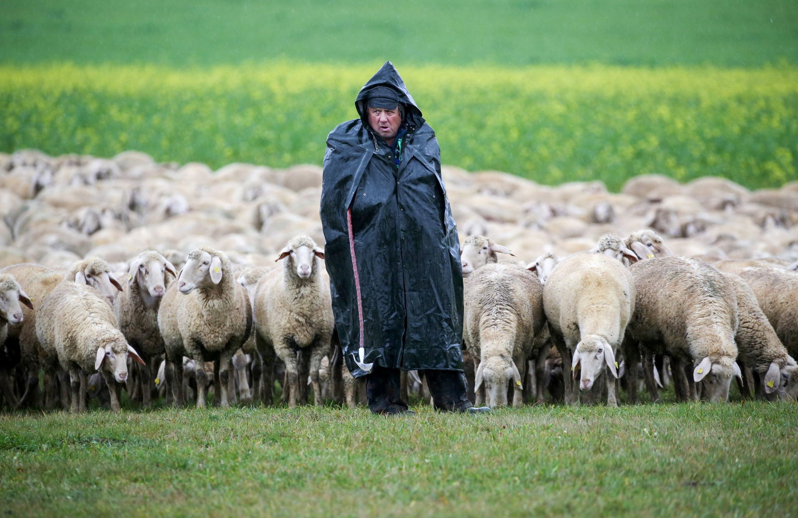 Das Wetter bleibt erst einmal ungemütlich im Südwesten. (Archivbild)