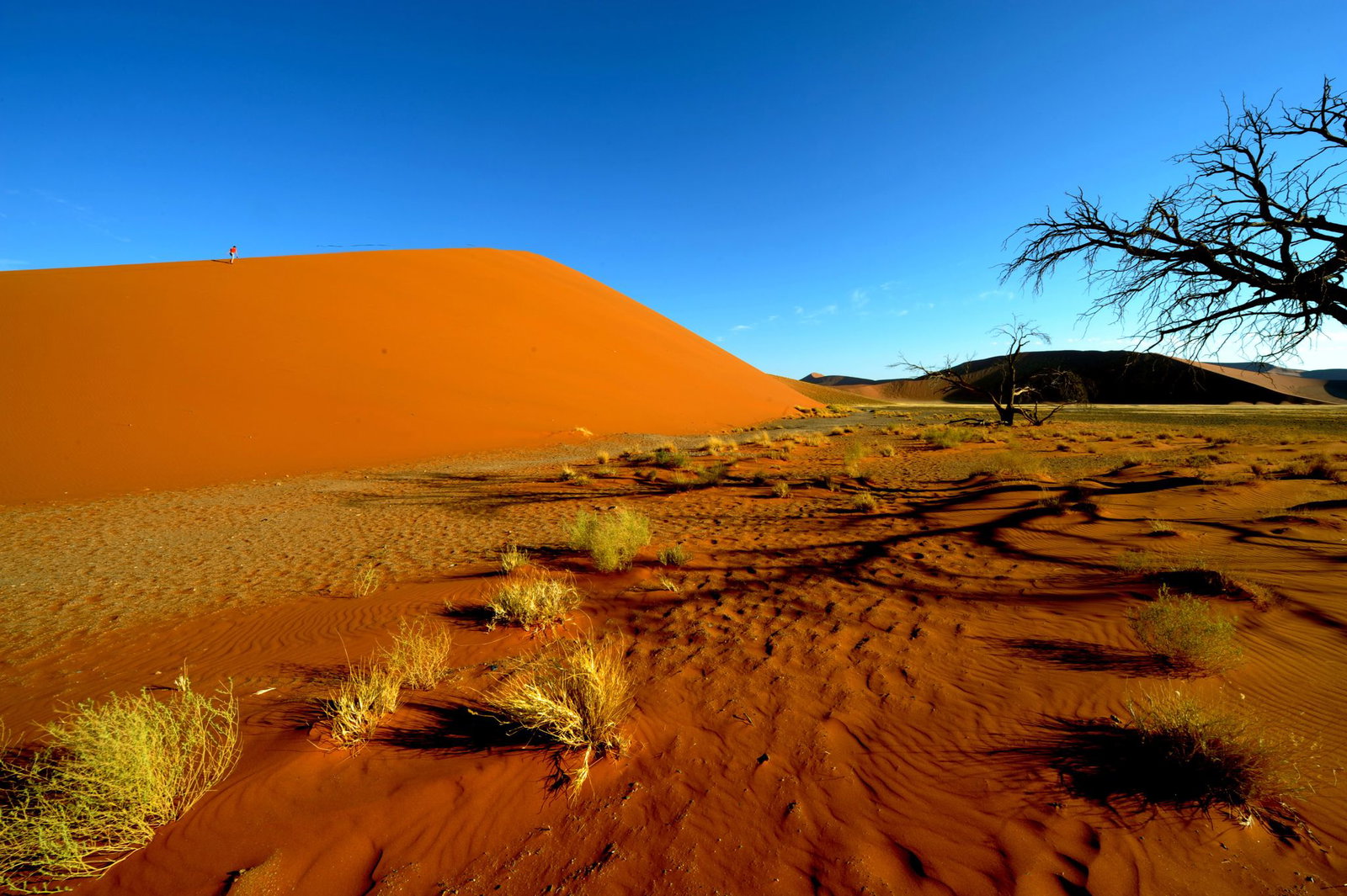 Die Region Sossusvlei mit ihren malerischen Dünen war das Ziel der deutschen Urlauber. (Symbolbild)