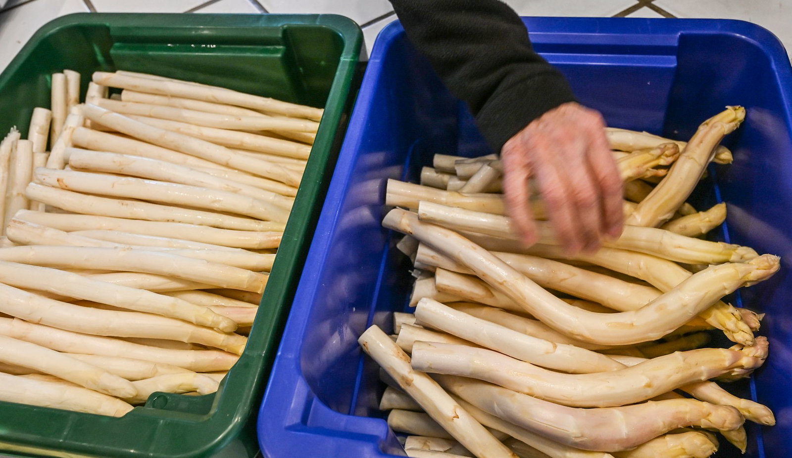 Derzeit bekommen Verbraucher Spargel so günstig wie sonst nicht in der Saison. (Archivbild)