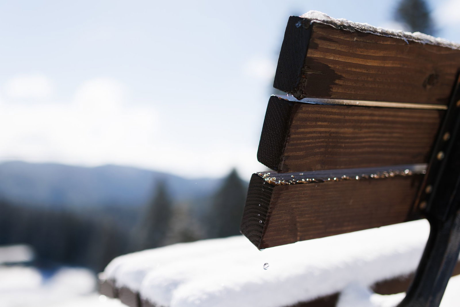 Die sogenannten Eisheiligen hatten sogar Schnee für den Schwarzwald im Programm. 