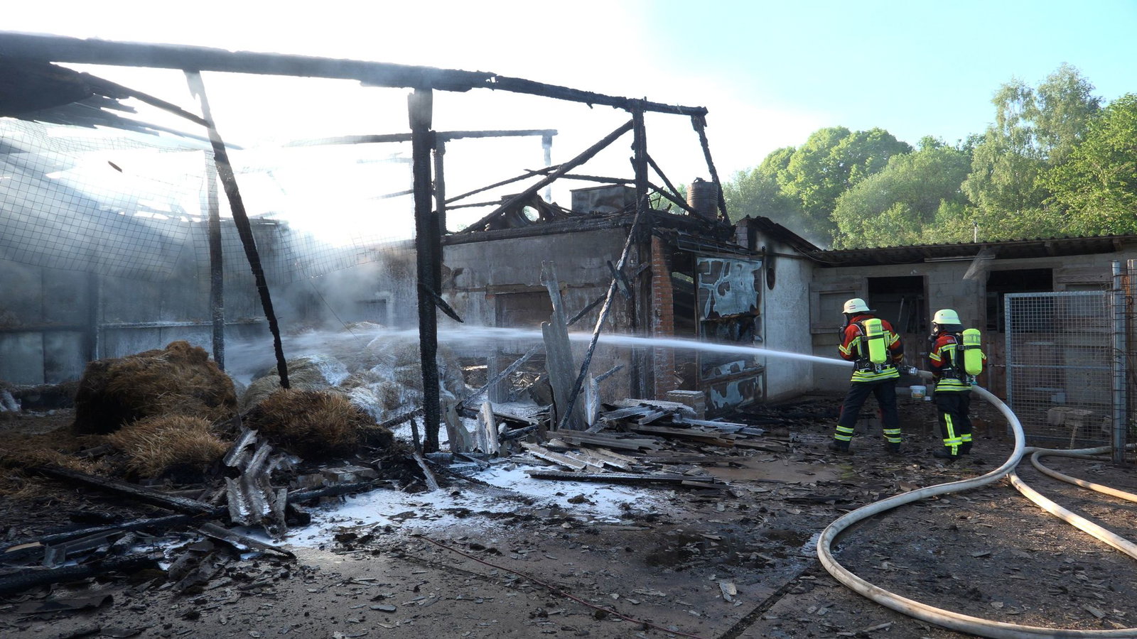 Nach einem Brand in einem Geflügelhof in Rehlingen-Siersburg rettet ein Verein überlebende Hennen und vermittelt sie weiter.