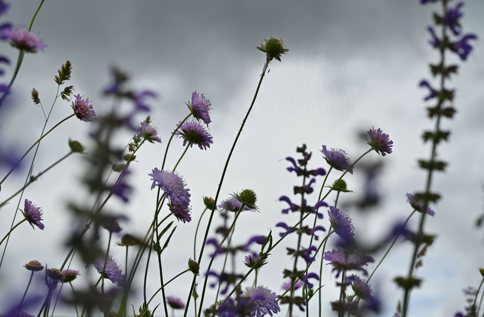 Das lange Wochenende wird ungemütllich: Im Südwesten soll es Wolken, Regen und vereinzelt auch Gewitter geben. (Symbolbild)