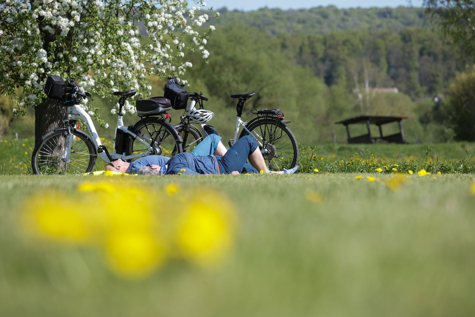 Es geht frühsommerlich weiter in Baden-Württemberg. (Archivbild)