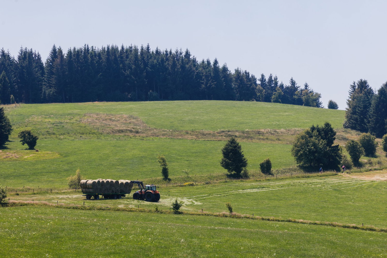 Im Südwesten wurde es 41,4 Grad heiß.