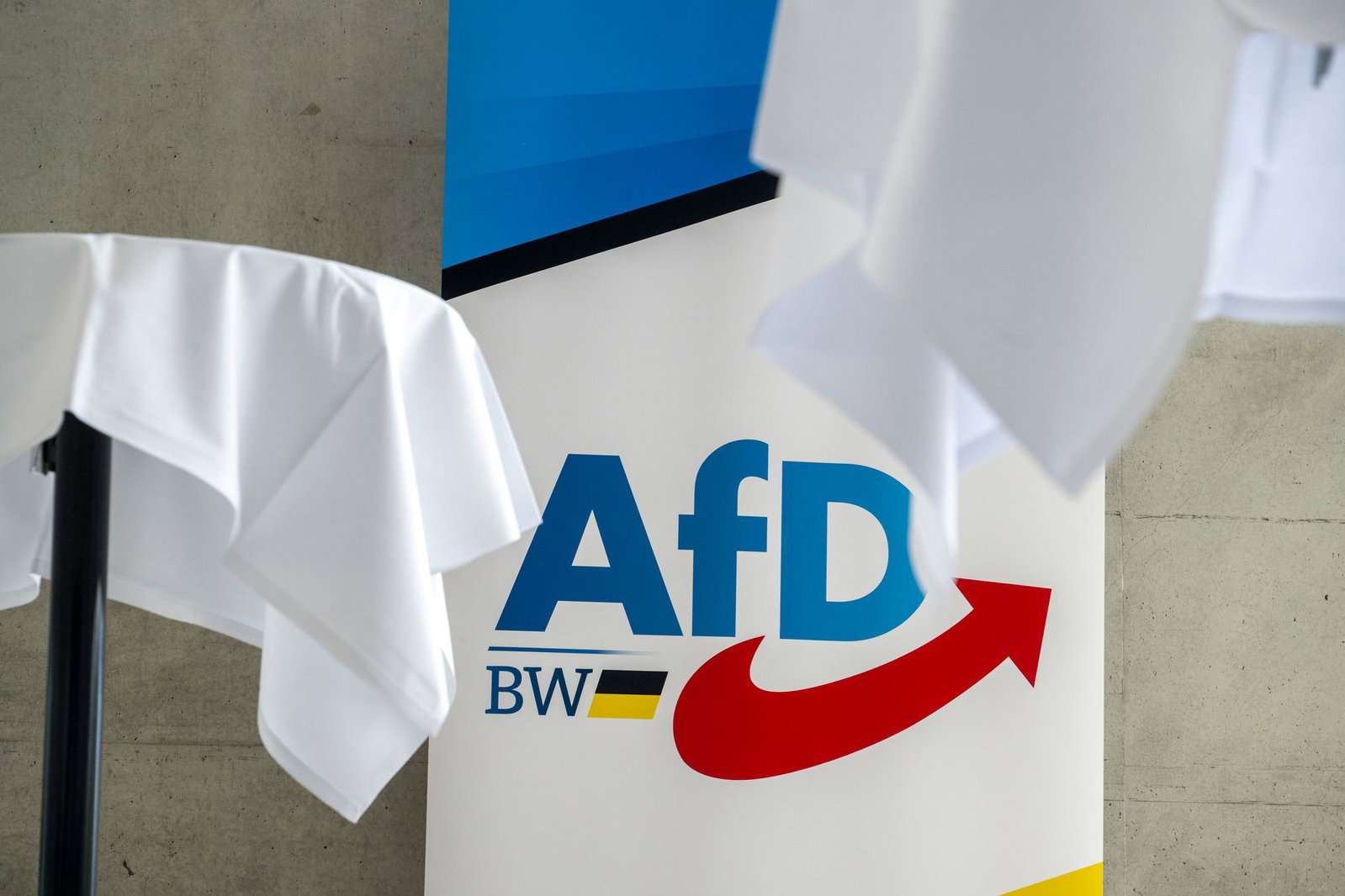 Die AfD-Delegierten zeigten sich nicht begeistert von der Überraschung. 