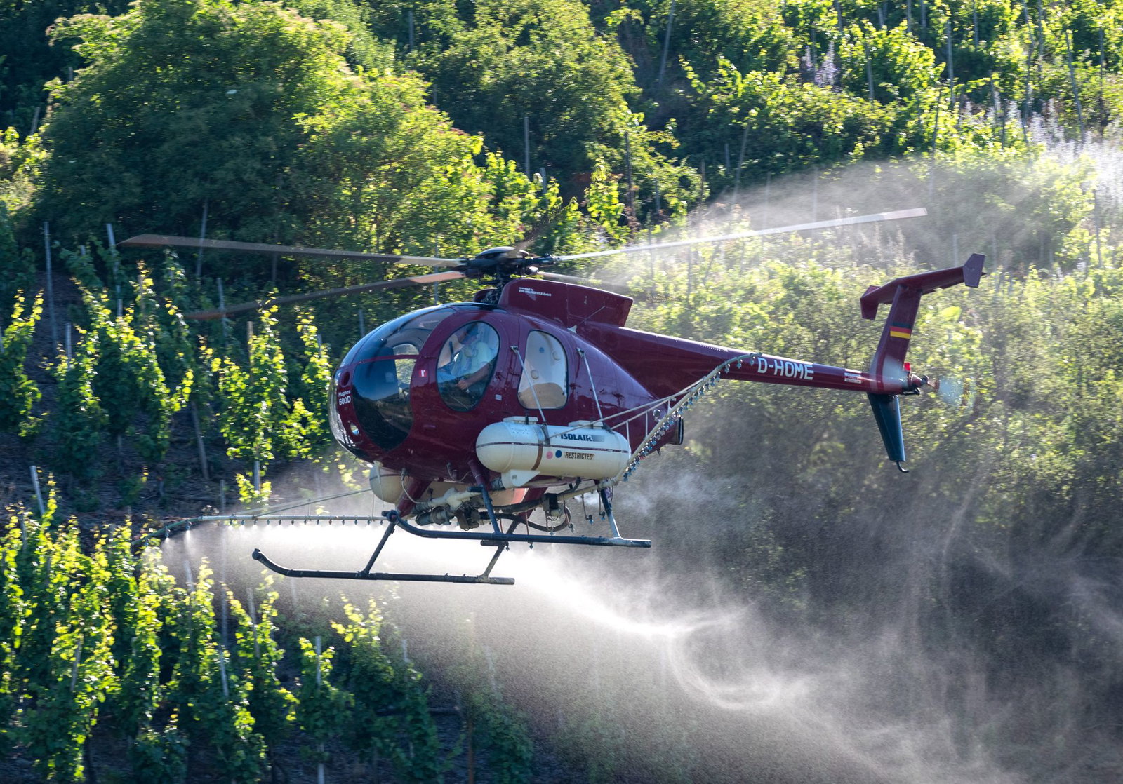 In steilen Weinbergen an der Mosel dürfen auch im Jahr 2026 weiterhin Fungizide mittels Hubschrauber gespritzt werden. (Symbolbild)