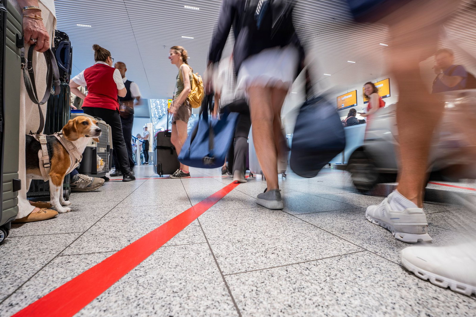 Durch geänderte EU-Bestimmungen bei Ein- und Ausreise kann es laut Fraport zu längeren Wartezeiten am Flughafen kommen. 
