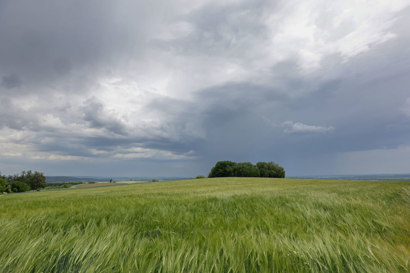 Die Prognose klingt wenig sommerlich: Für die nächsten Tage sind im Südwesten Regen und Wolken angesagt. (Archivbild)