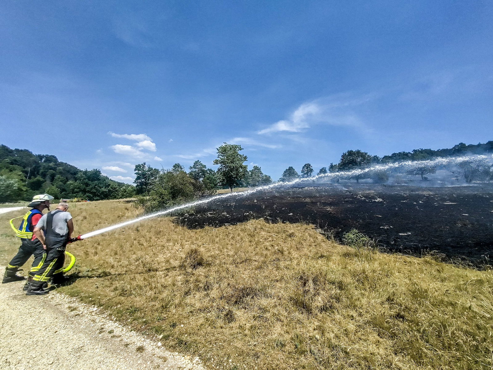 Die Feuerwehr löscht einen Flächenbrand. 
