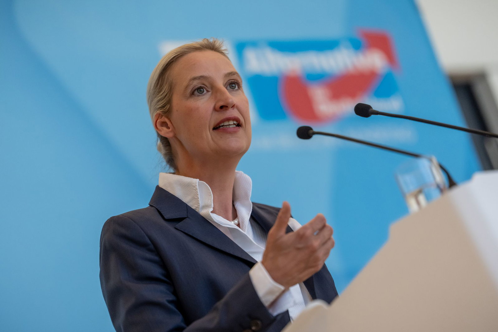 AfD-Chefin Alice Weidel bemängelt, die Empfehlungen der Rentenkommission seien nicht ausreichend.