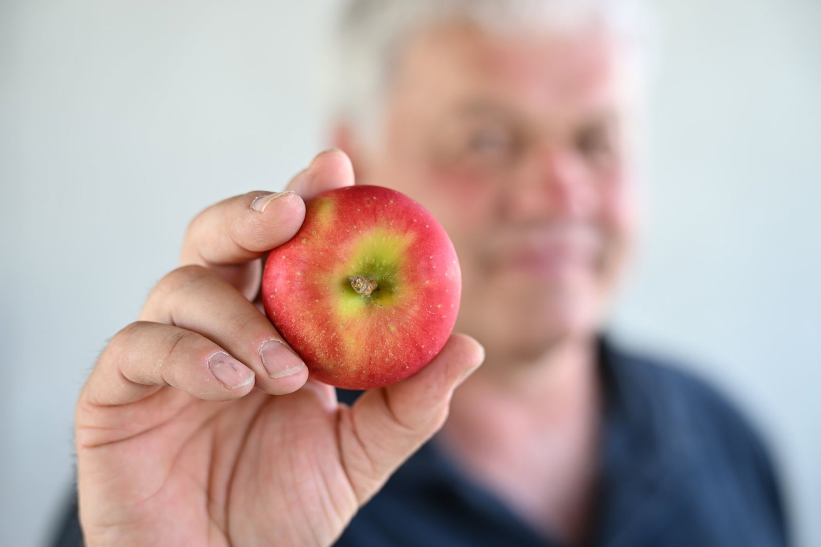 Die neue Züchtung soll mit weniger Pflanzenschutz auskommen. 