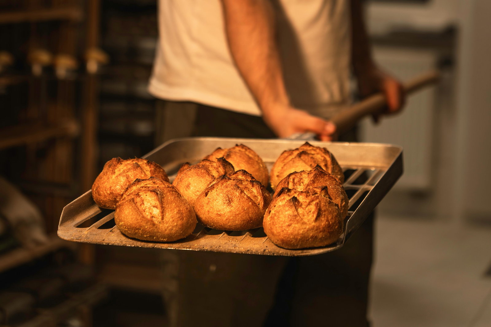 Gebackene Brötchen werden von Bäcker auf Backblech gehalten