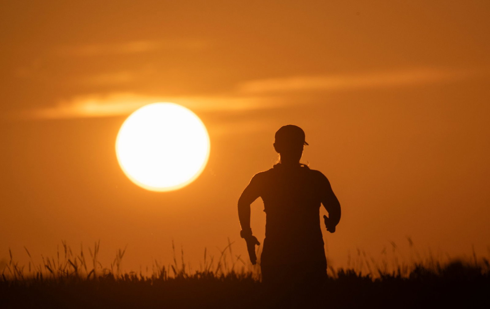 Tagsüber an die 40 Grad, nachts über 20 Grad: Deutschland schwitzt.