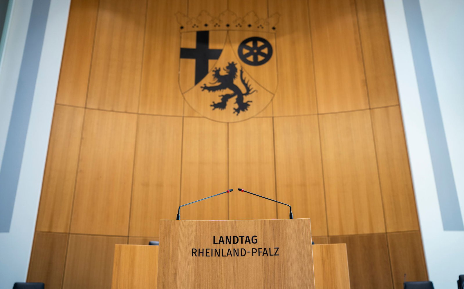 14 Fachausschüsse mit je zehn Mitgliedern werden im Landtag von Rheinland-Pfalz gebildet. (Archivfoto)