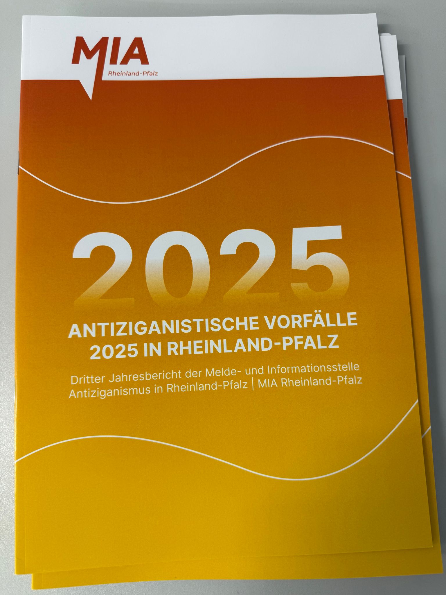 Die Dunkelziffer bei der Diskriminierung von Sinti und Roma ist hoch. 