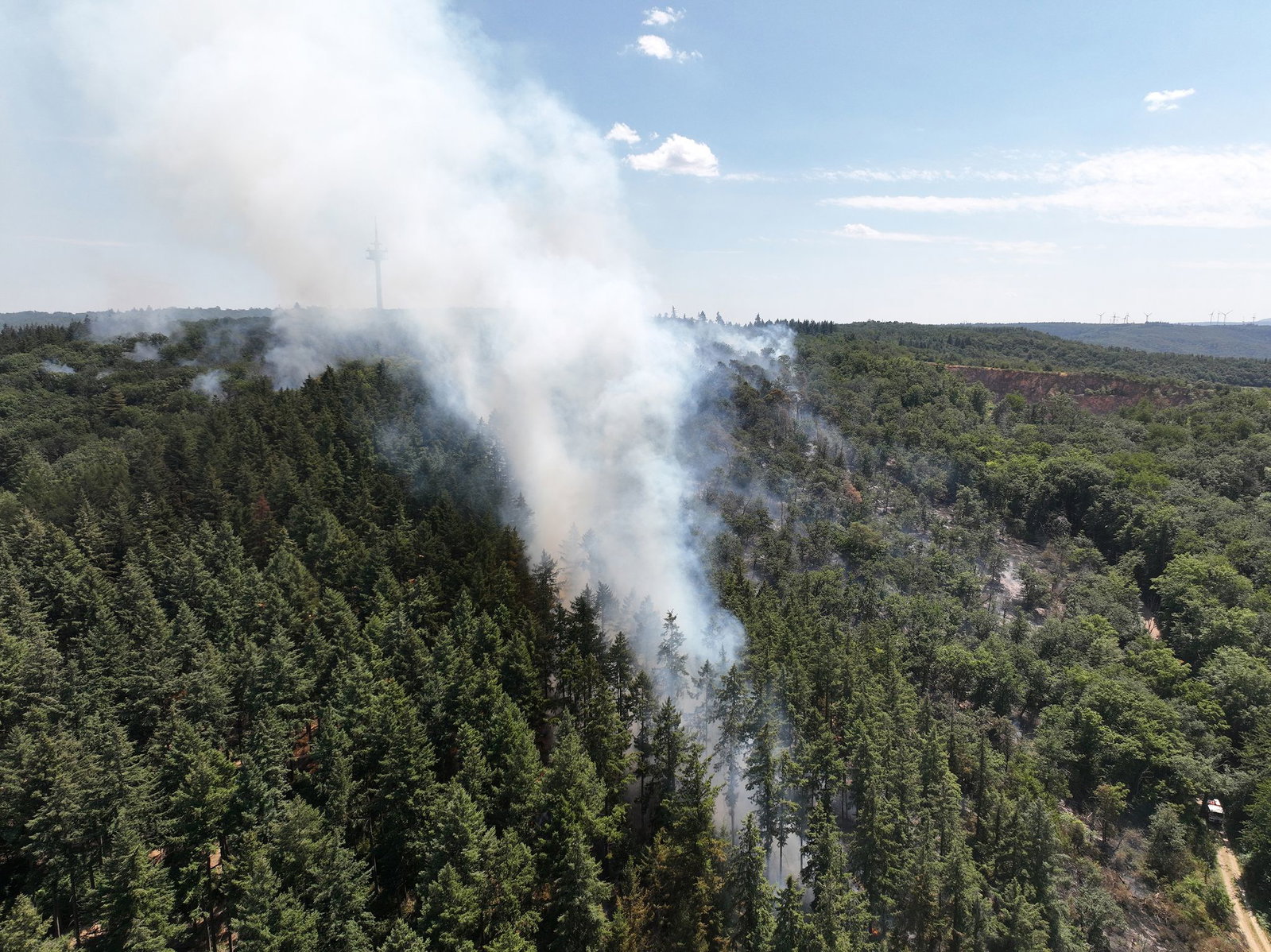 Auch die Waldbrandgefahr steigt wegen der lang anhaltenden Trockenheit.
