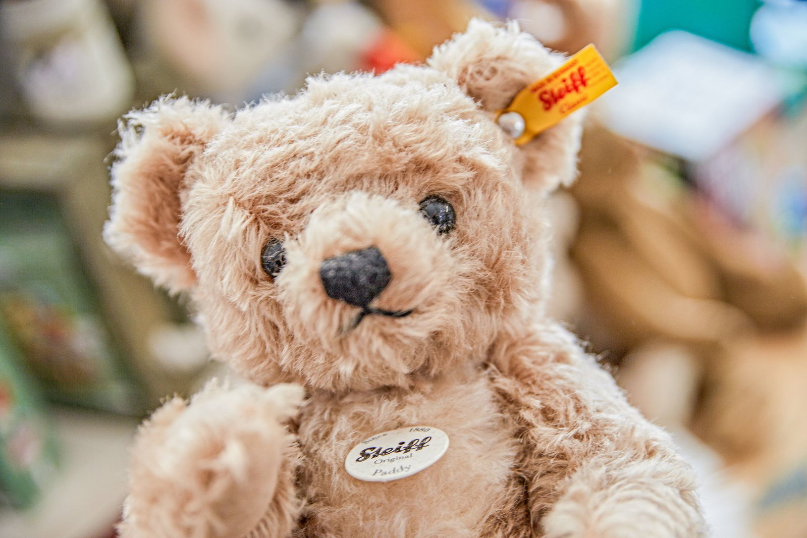 Markenzeichen von Steiff ist der «Knopf im Ohr». (Archivbild)