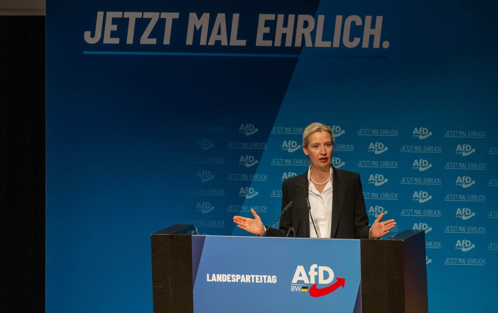Die Bundesvorsitzende Weidel schaute bei ihrem Landesverband vorbei.
