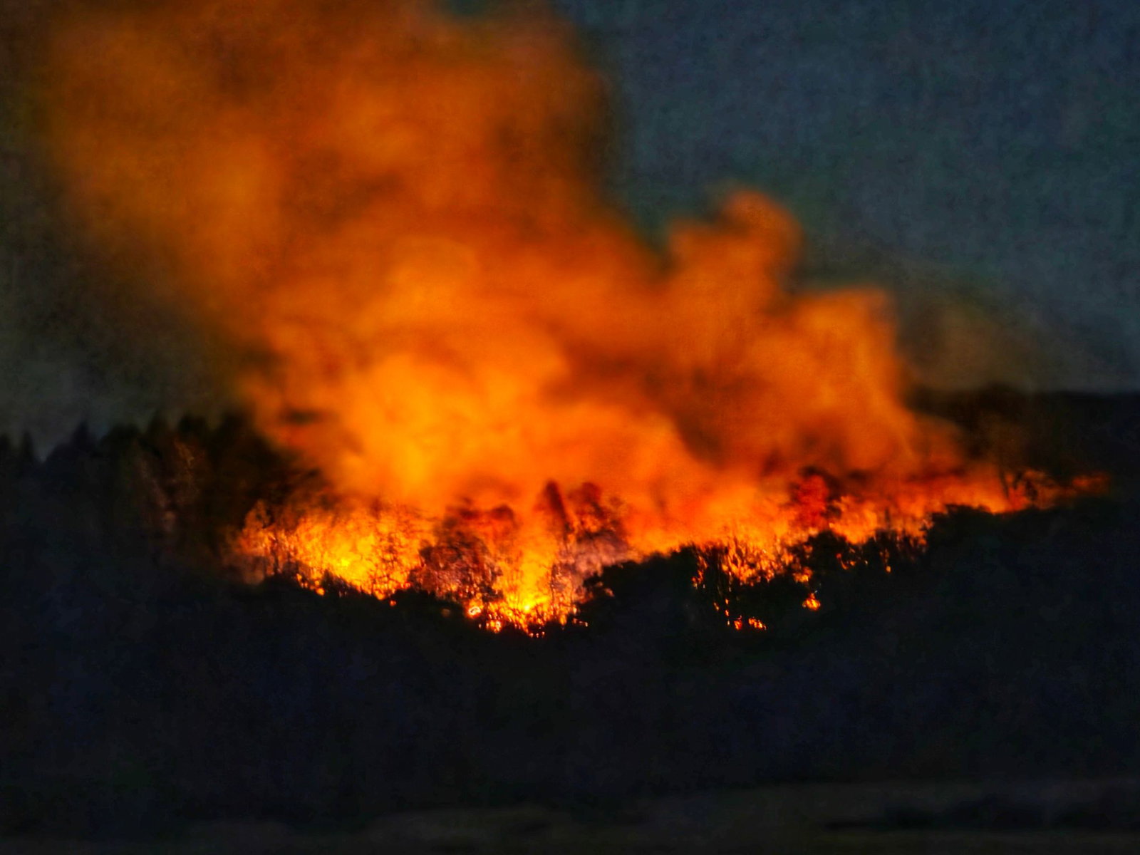 Es brannte in der Nacht lichterloh in dem Waldgebiet.  