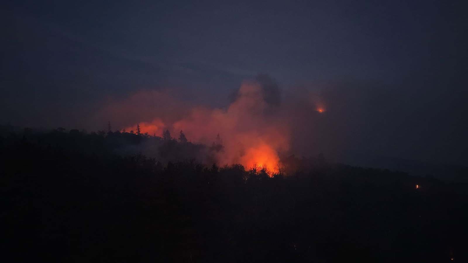 Das Feuer war am Samstagnachmittag in einem Waldgebiet ausgebrochen.