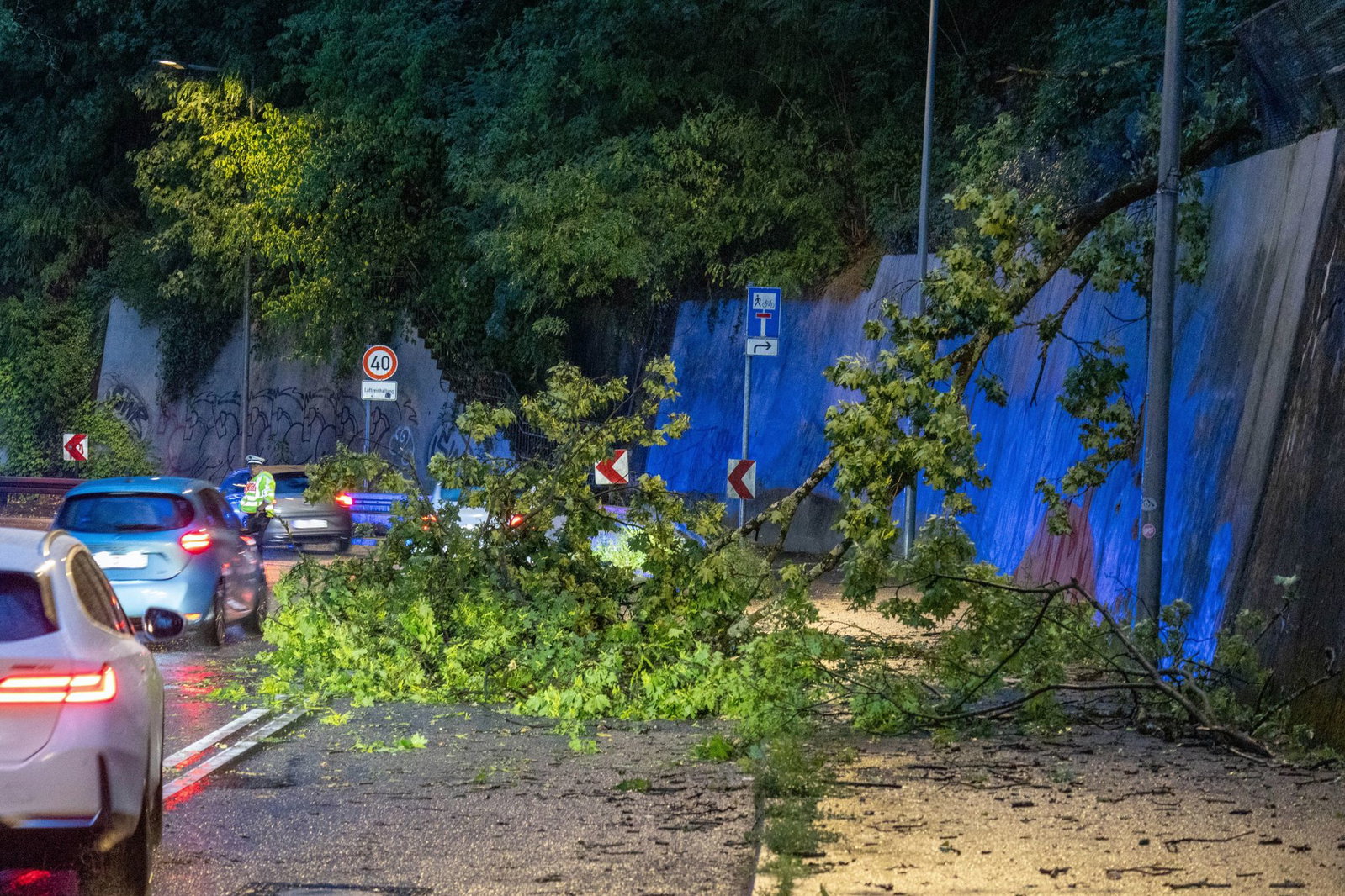 In Stuttgart fielen einige Bäume um - die Feuerwehr hatte dutzende Einsätze. 