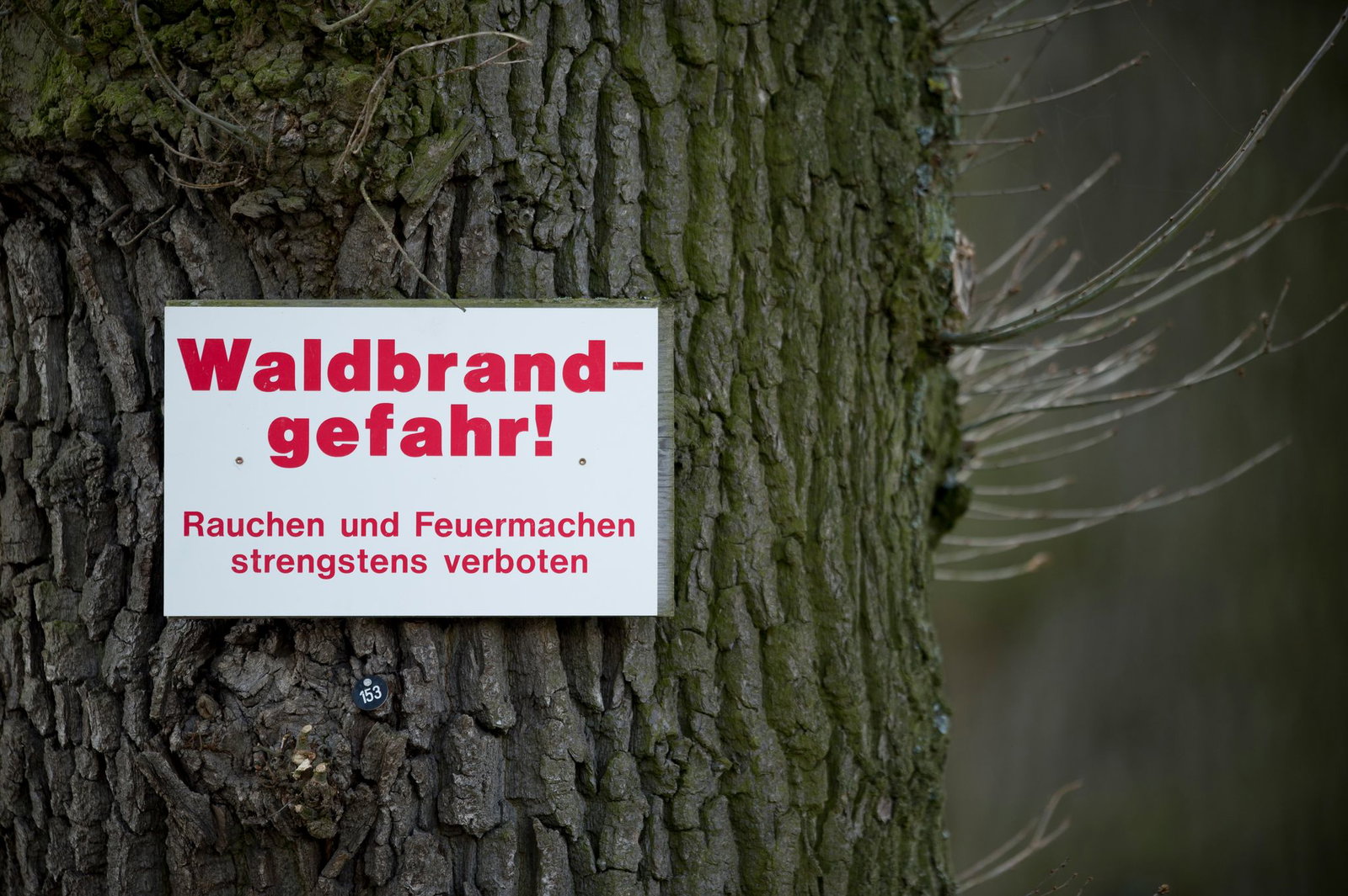 Die dritte Warnstufe gilt weiterhin in beiden Bundesländern. (Symbolbild)