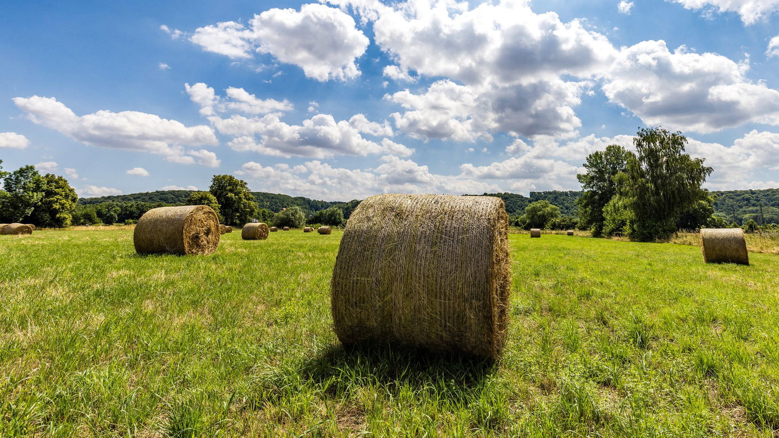 Mit der Maschine macht ein Landwirt gerade Heuballen, als diese plötzlich in Flammen aufgeht. (Symbolbild)