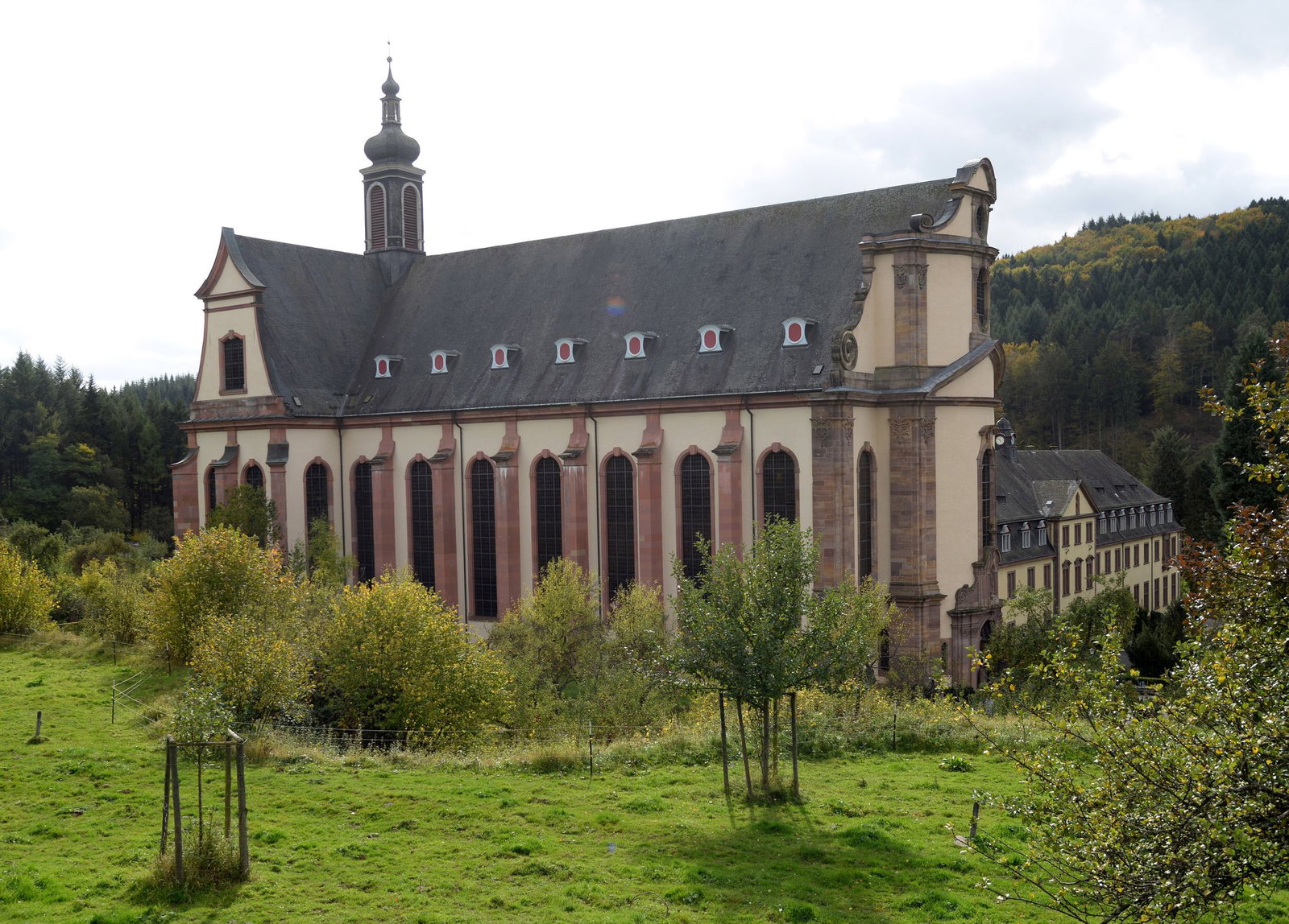 Eine Genossenschaft wurde zum Erhalt des Klosters Himmerod gegründet. (Archivbild)