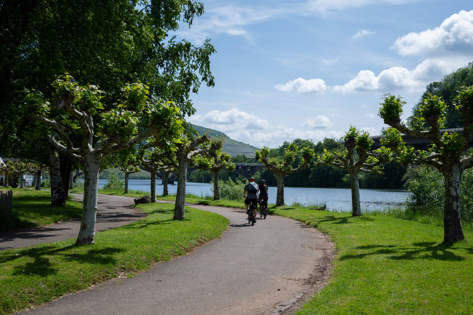 Radweg entlang der Mosel