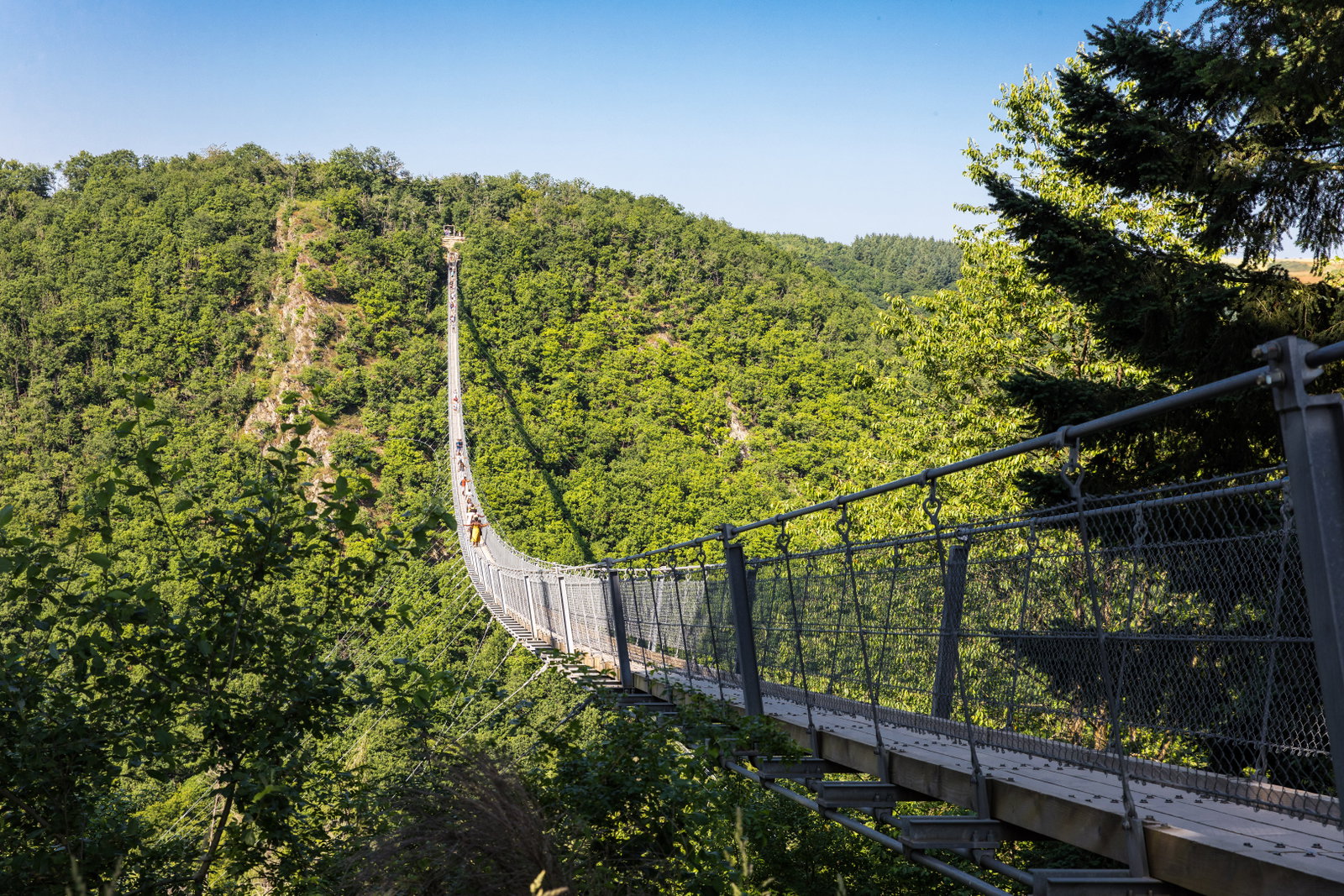 Hängeseilbrücke Geierlay im Hunsrück-Gebirge
