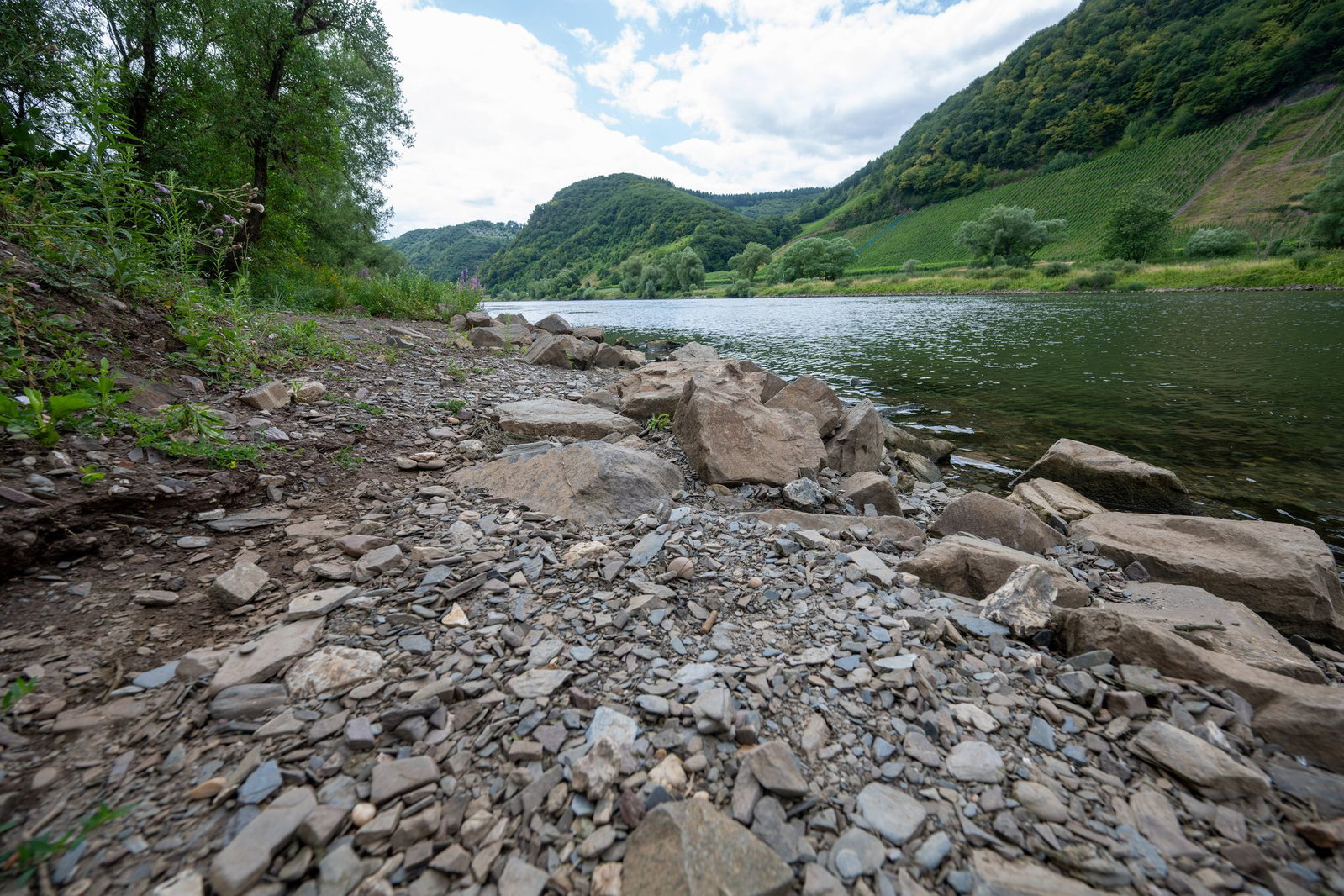 Viele Gewässer in Rheinland-Pfalz führen zurzeit deutlich weniger Wasser. (Archivbild)
