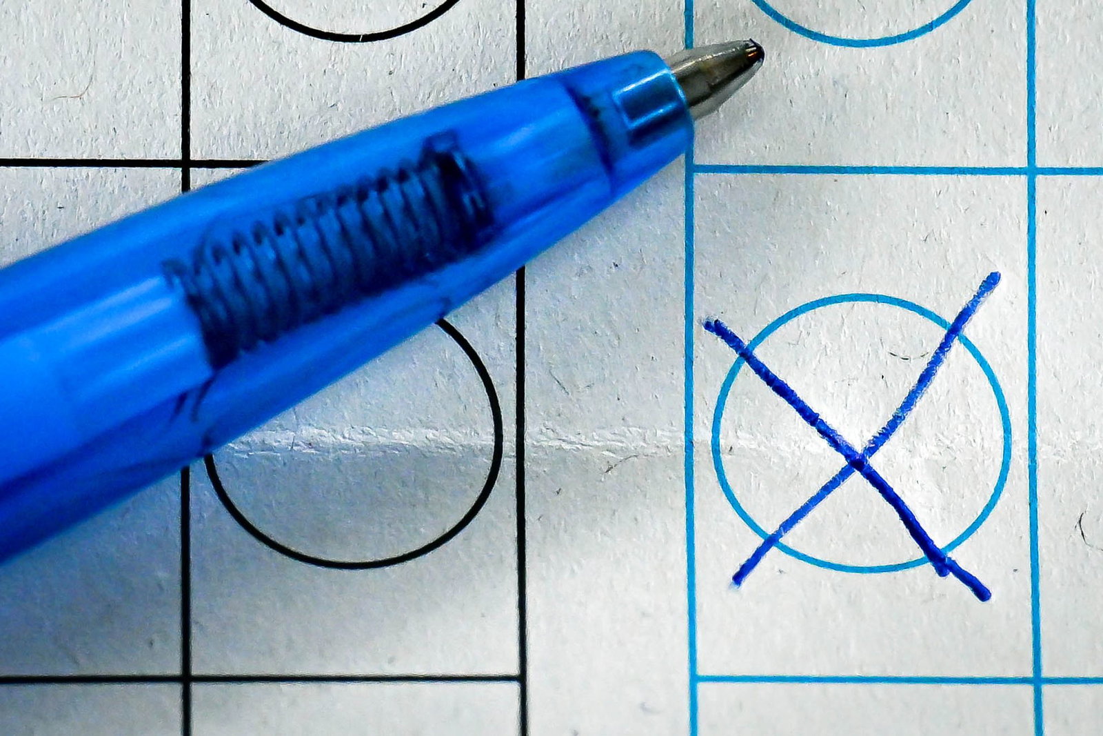 Die Parteien hoffen noch auf weitere Mitgliederzuwächse vor der Landtagswahl im April 2027. (Symbolbild)