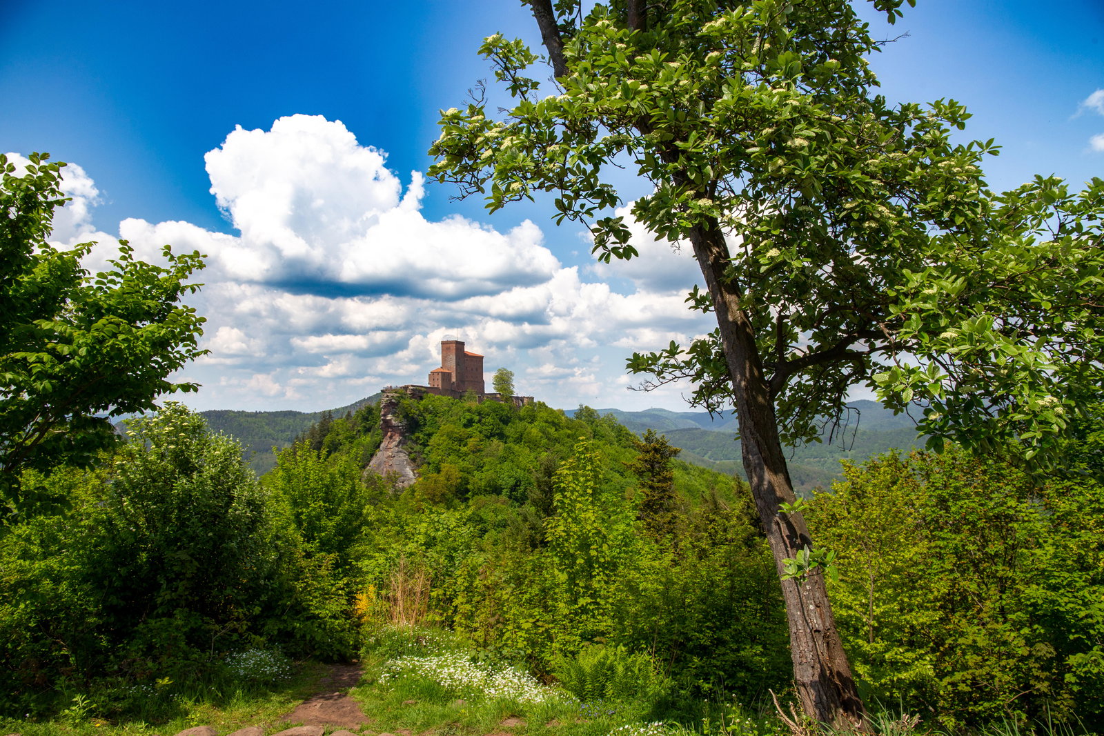 Blick auf die Burg Trifels bei Annweiler Pfälzerwald