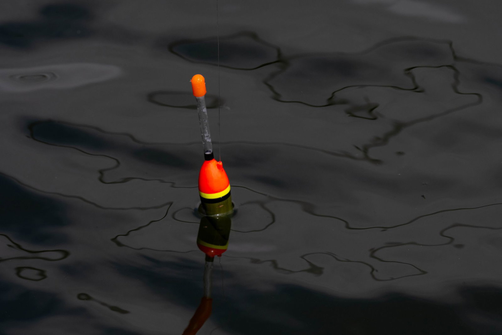Betrüger fälschen Fischereischeine oder Prüfungszeugnisse, um sich Fischereischeine zu erschleichen, sagt der Landesfischereiverband. (Symbolbild)