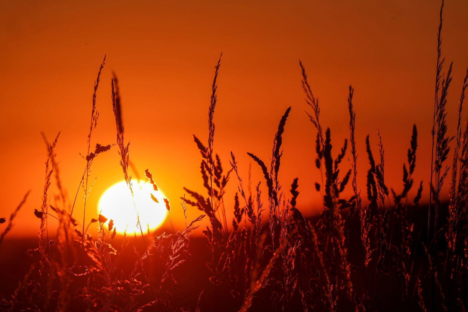 Selbst nachts bleibt es zum Teil bei mehr als 20 Grad. (Archivbild)