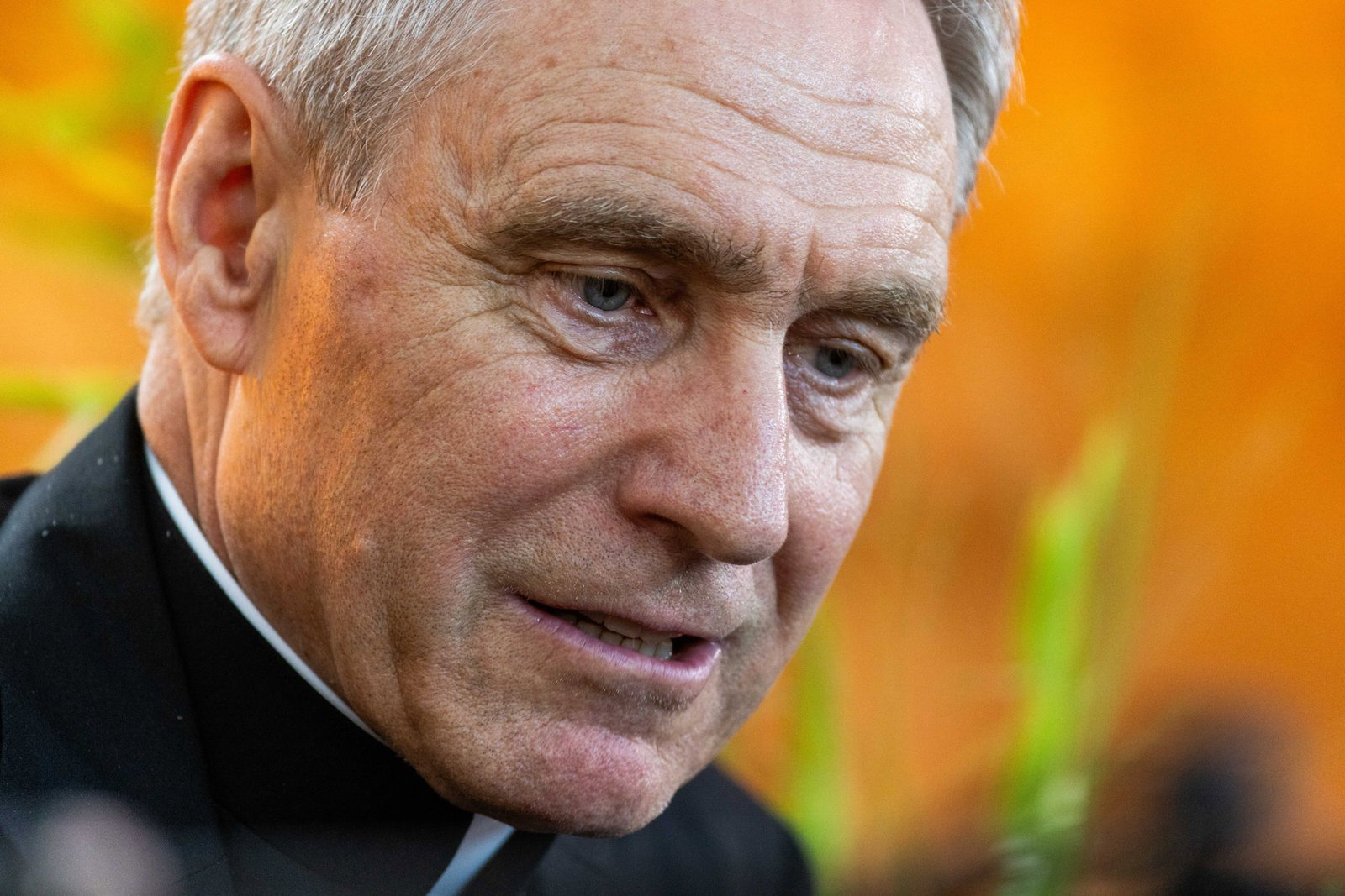 Erzbischof Georg Gänswein weint Rom nicht nach. (Archivbild)