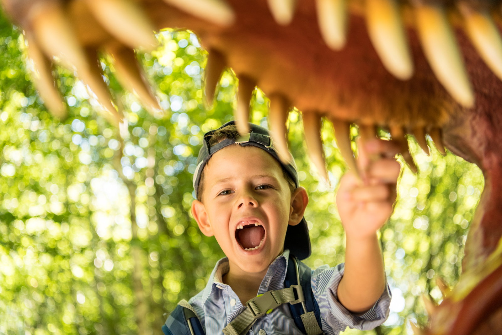 Dinopark Vulkaneifel