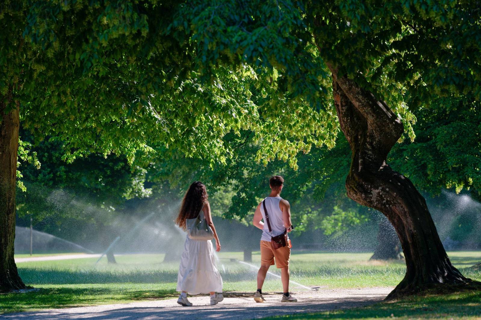 Am Wochenende werden in Baden-Württemberg Temperaturen bis zu 30 Grad erwartet. Die Bewässerungsanlage im Heidelberger Schlosspark wird bei hohen Temperaturen regelmäßig genutzt. (Archivbild)