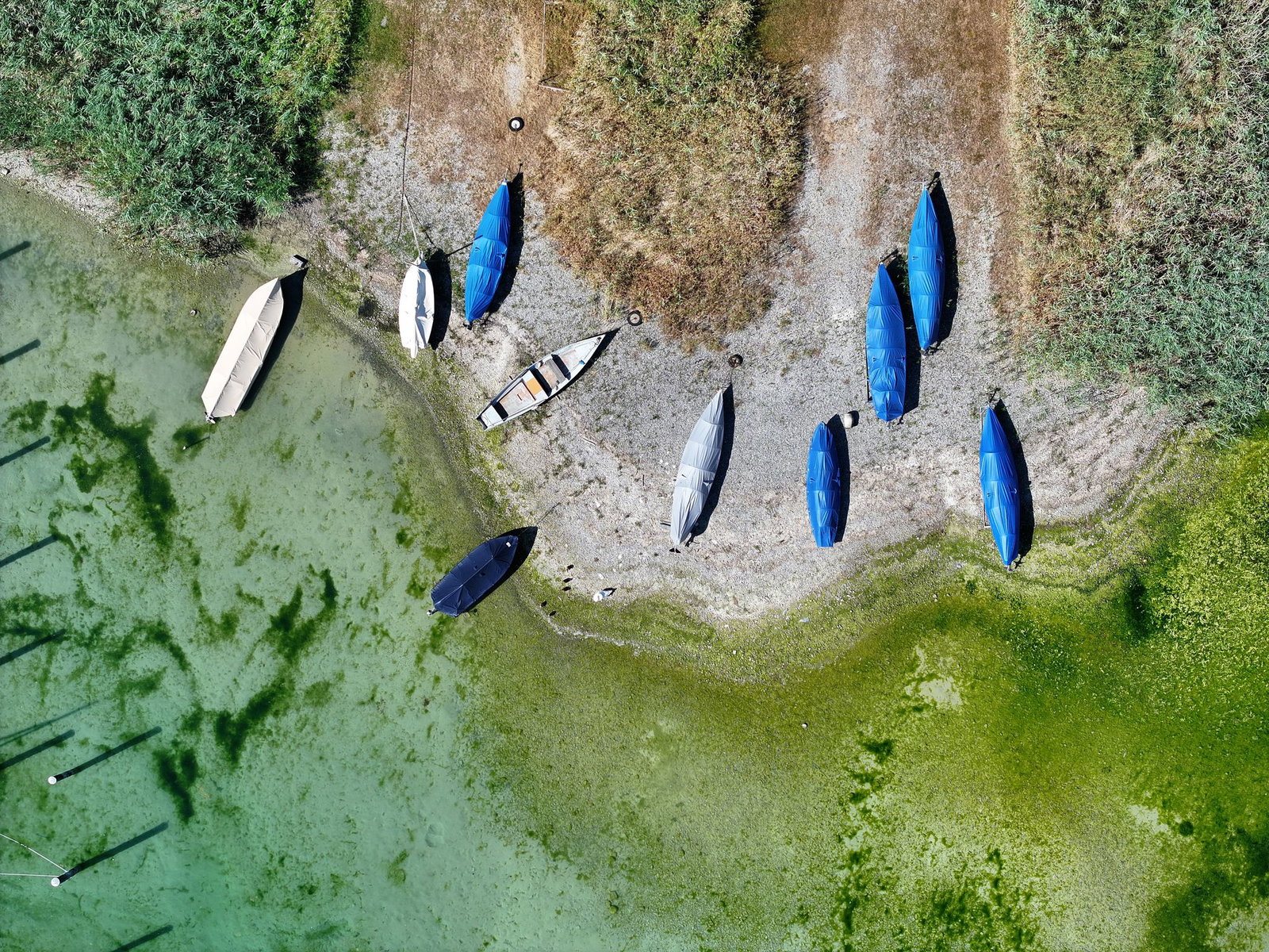Das seichte Wasser zeigt den niedrigen Wasserstand. 