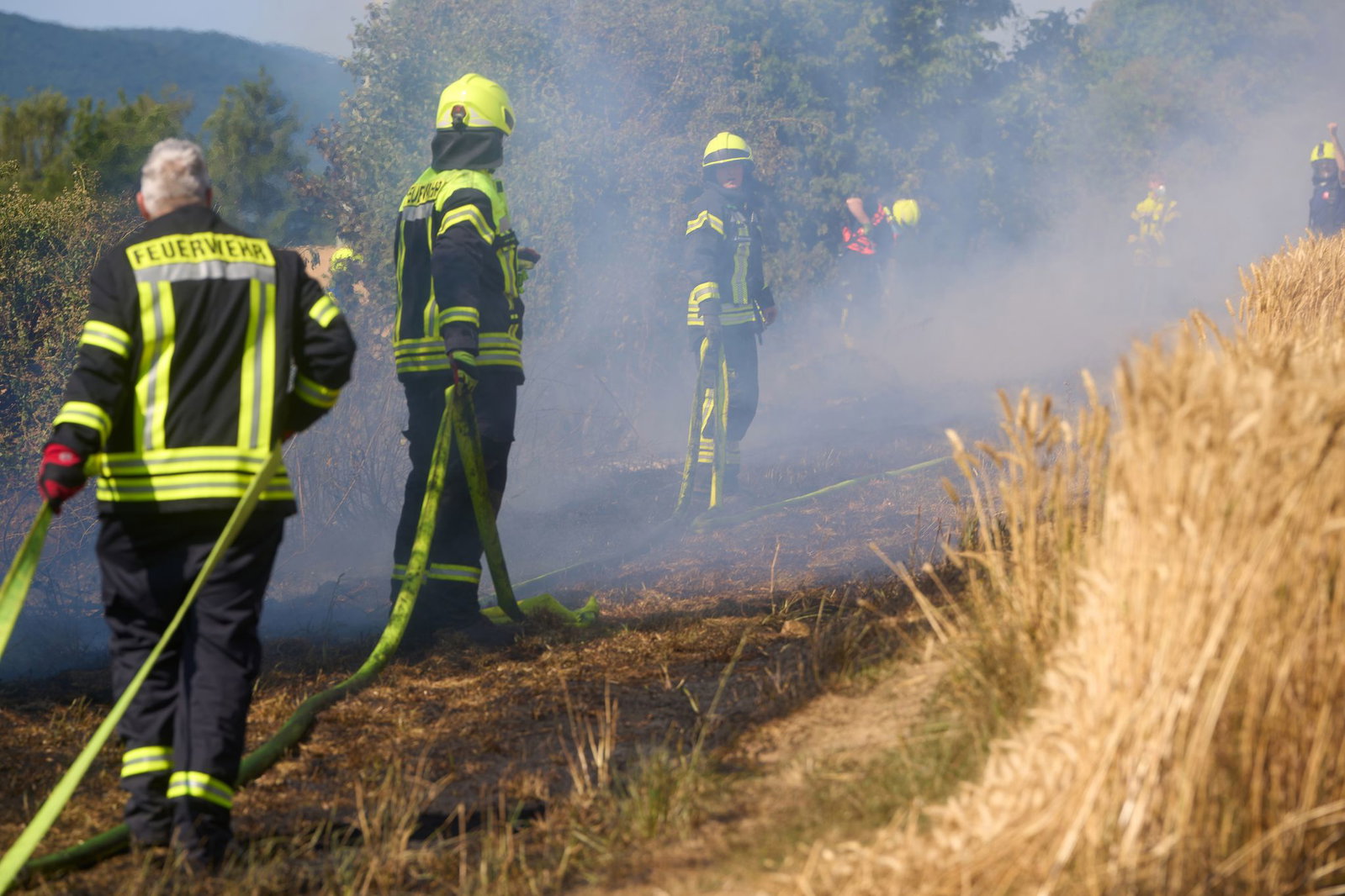 Die Ursache für den Brand auf dem Weizenfeld war zunächst unklar. 