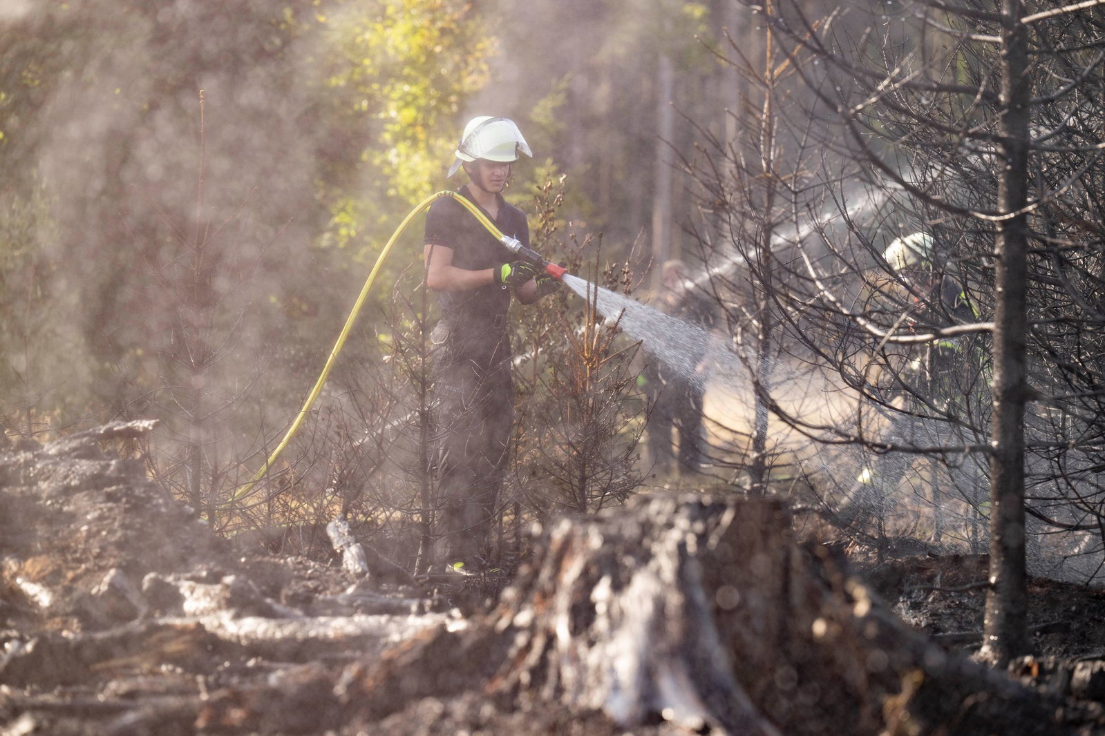 Feuerwehrleute im Einsatz bei einem Waldbrand. (Archivbild)