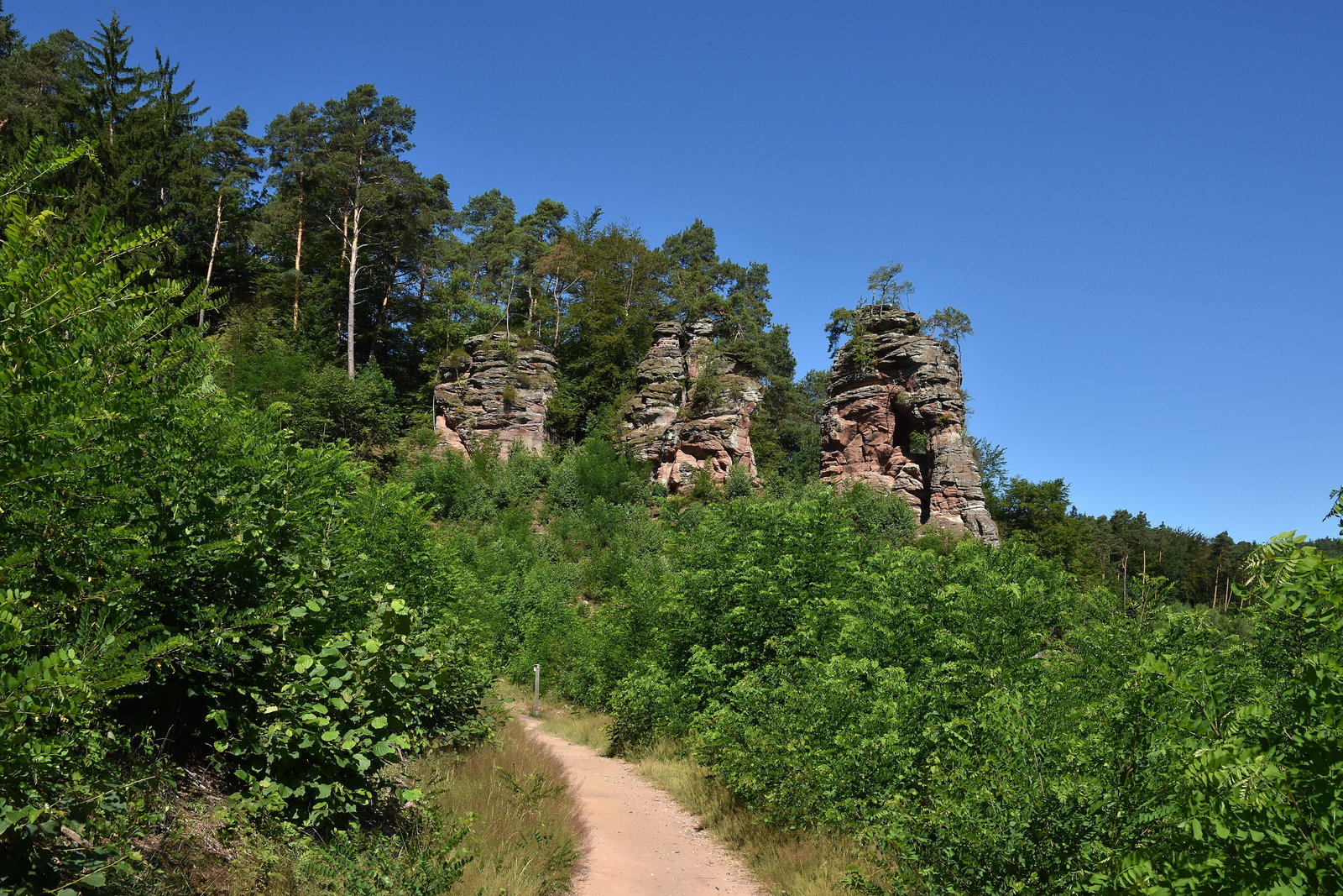 Felsformationen auf Dahner Felsenpfad