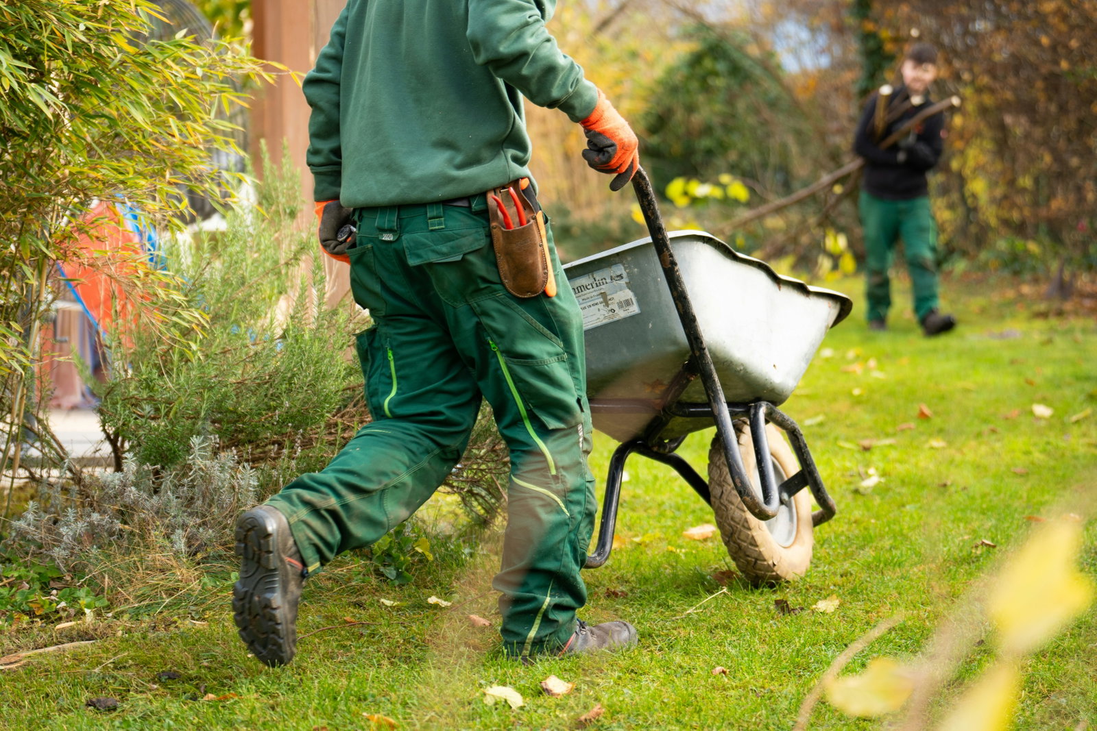 Landschaftsgärtner schiebt eine Schubkarre durch den Garten und trägt grüne Arbeitskleidung